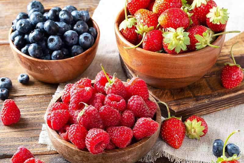 Adding Berries to Your Diet Has 7 Health Benefits