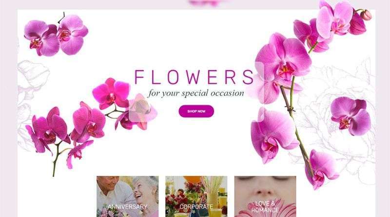 Five best flower Shop WordPress
