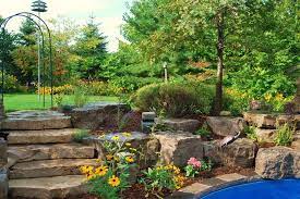 Hardscaping vs. Softscaping: Which is Right for You?